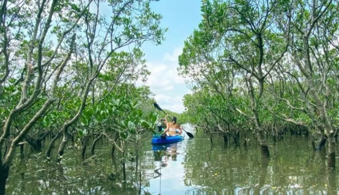  水上活動_水上運動